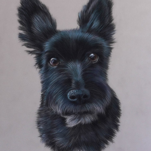 Candy-Pastel-Portrait