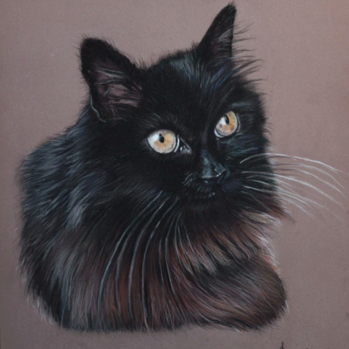 pastel cat portrait
