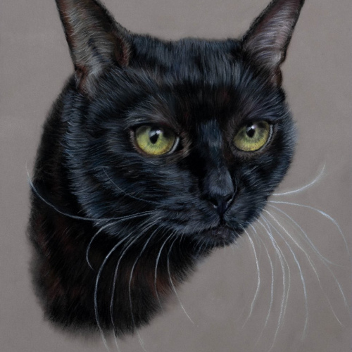 IllI-portrait-final-8-1-sur-1