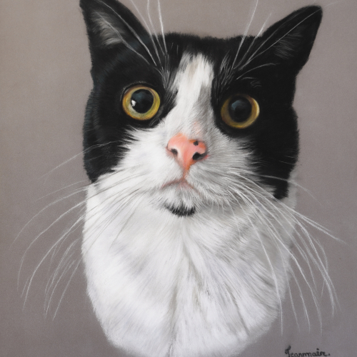 Olly-pastel-portrait