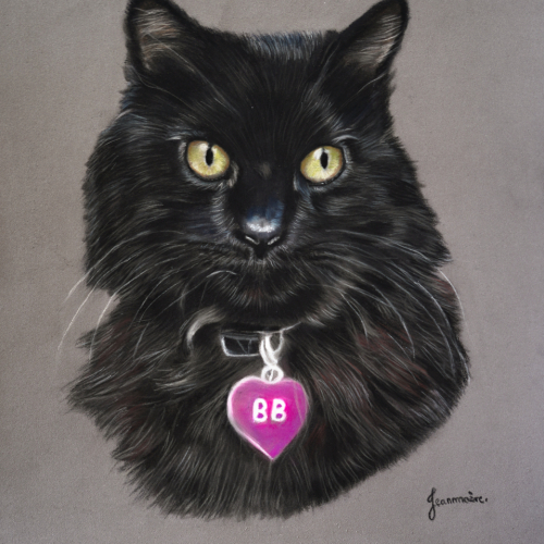 Pastel-portrait-cat-chat-BB