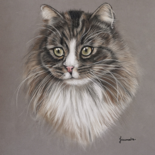 Pastel-portrait-chat-cat-Velcro