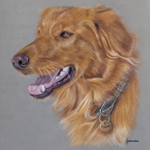 pastel dog portrait