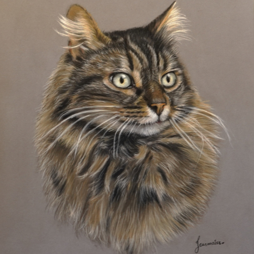 pastel cat portrait
