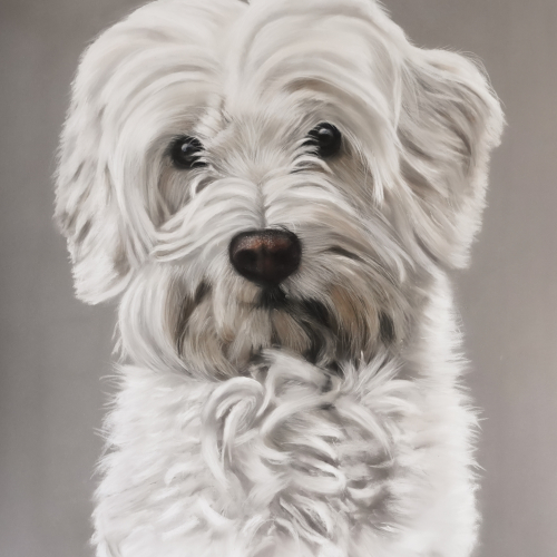 Puce pastel portrait