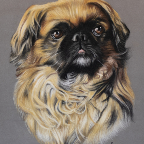 pastel dog portrait