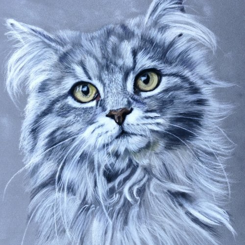 pastel cat portrait