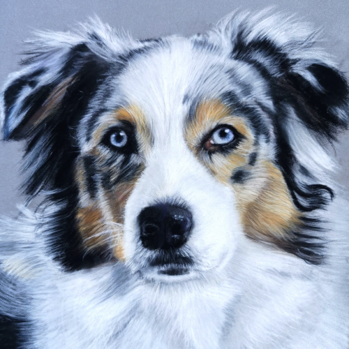 pastel dog portrait
