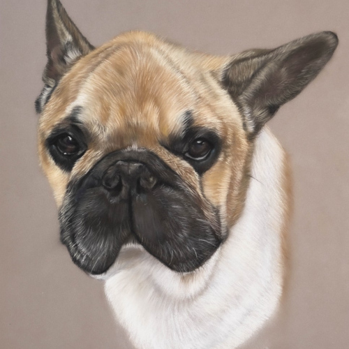 Portrait-diego-termine-.-00593