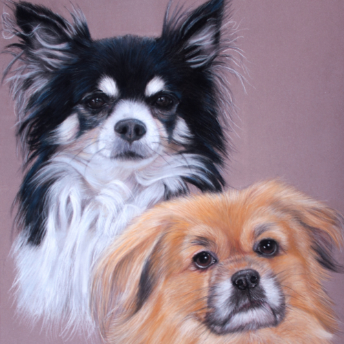 pastel dog portrait