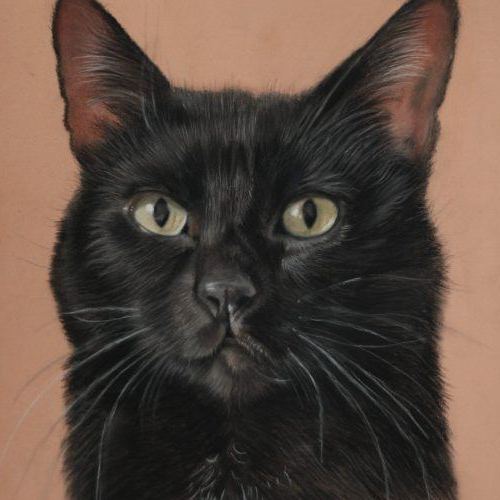 pastel black cat portrait