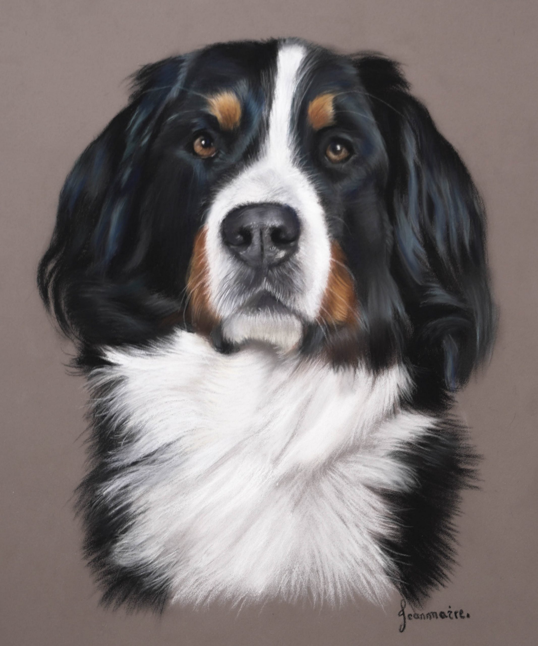 Dog chien Bouvier Pastel