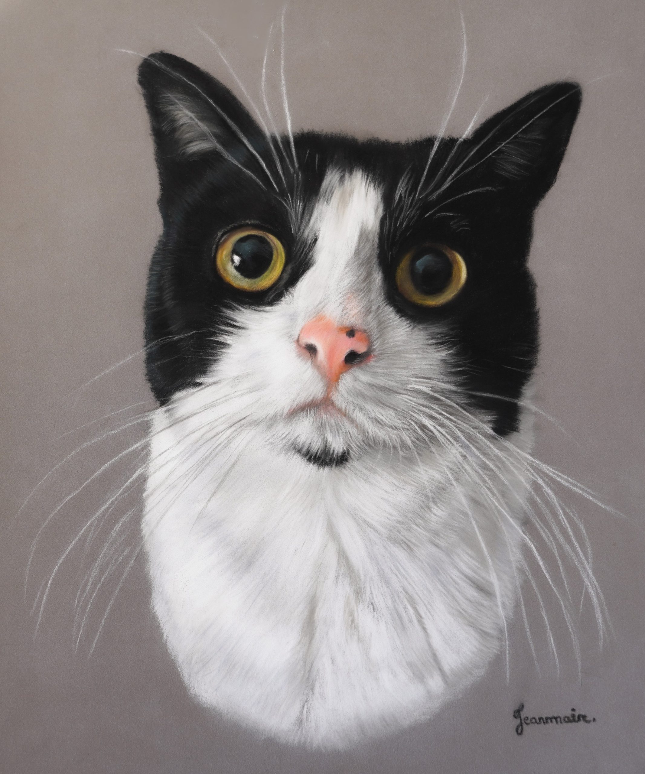 Cat portrait chat pastel