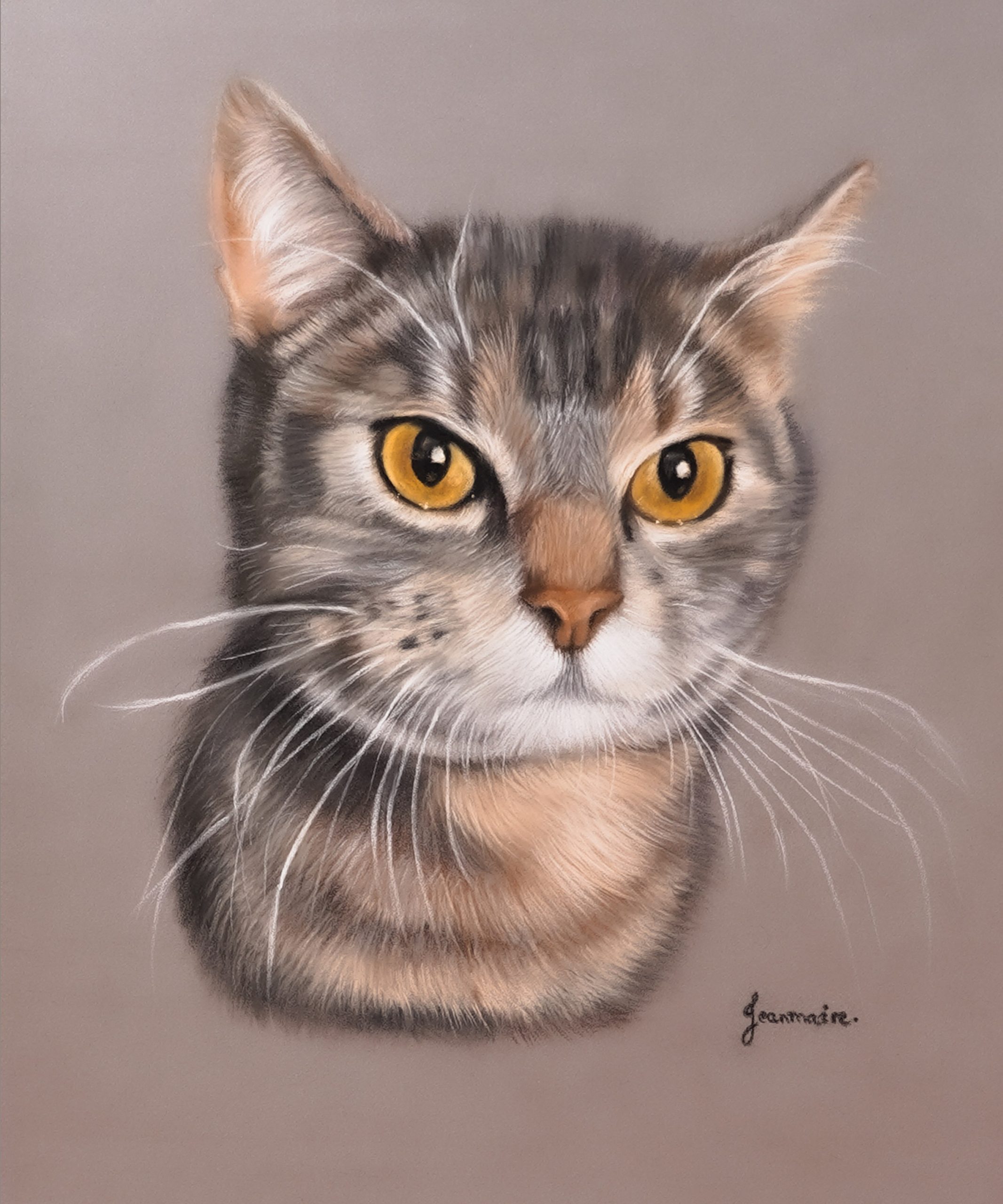 portrait chat cat portrait pastel